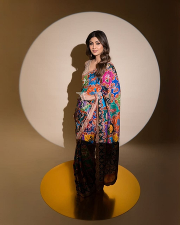 Analeigh Digital Printed Patola with Swarovski Diamond Work Georgette Saree