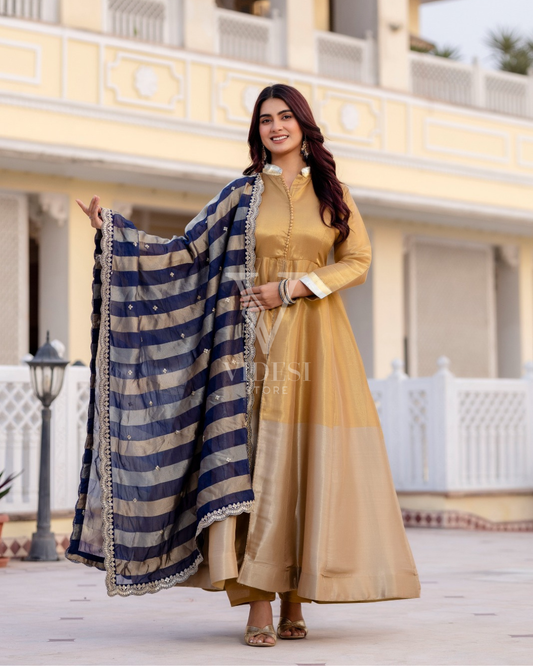 Calla Pure Banasari Viscous With Fancy Lace Work Gown