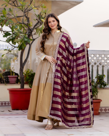 Calla Pure Banasari Viscous With Fancy Lace Work Gown