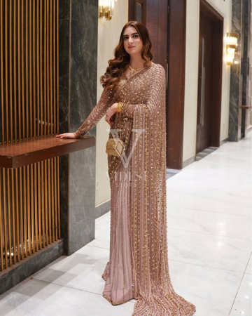 Faiza Premium Butterfly Net Sequined Saree