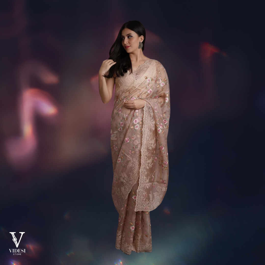 Eva Vintage Embroidered Pure Organza Saree With Contrast Silk Blouse