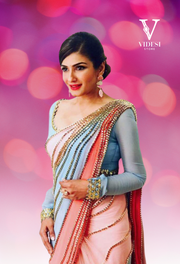 Rahi Stylish Premium Georgette with Net Sequined Saree